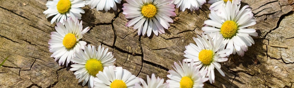 Glimmer Goddess guide to organic and natural skincare labels.