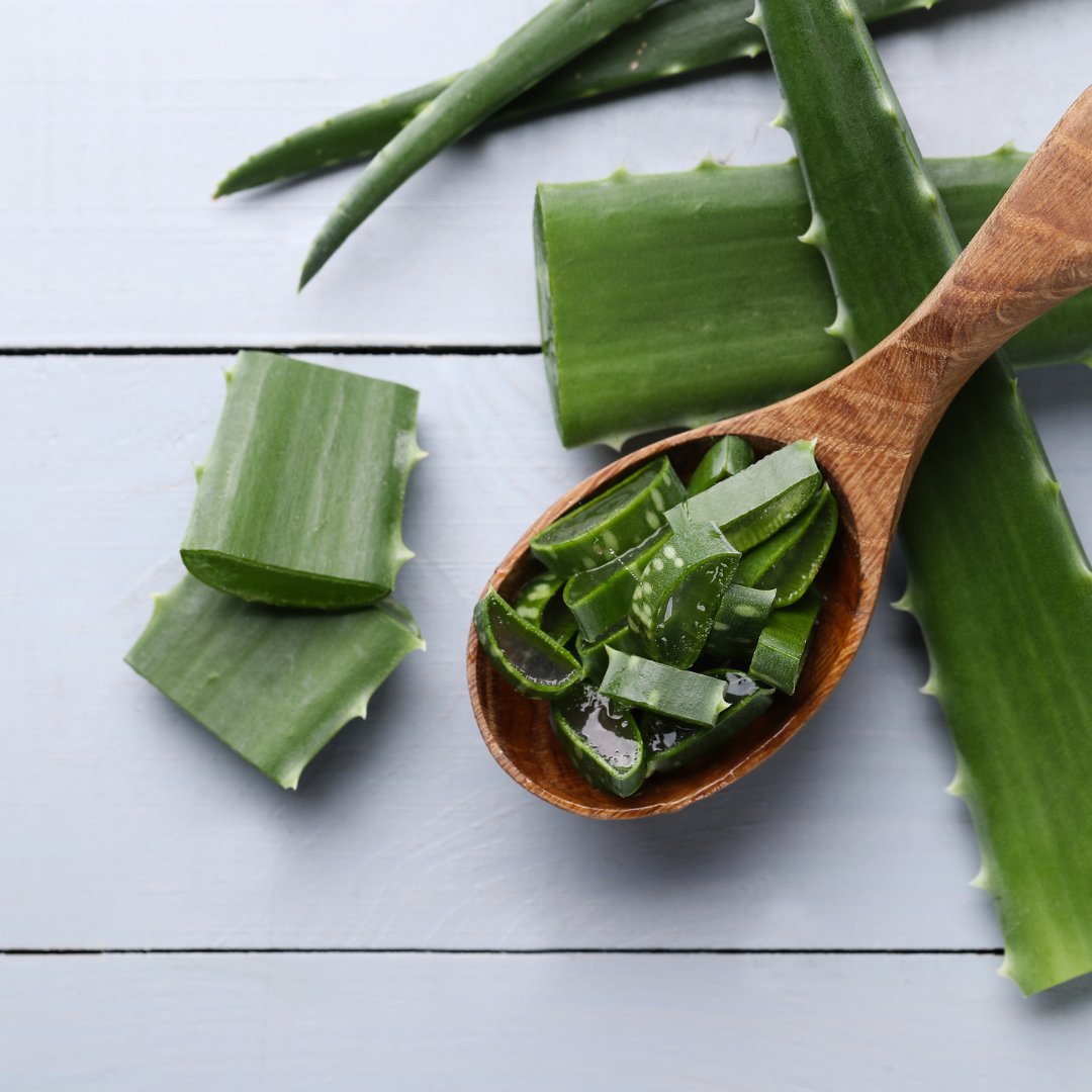 How Aloe Vera Can Reduce Dark Circles under Your Eyes