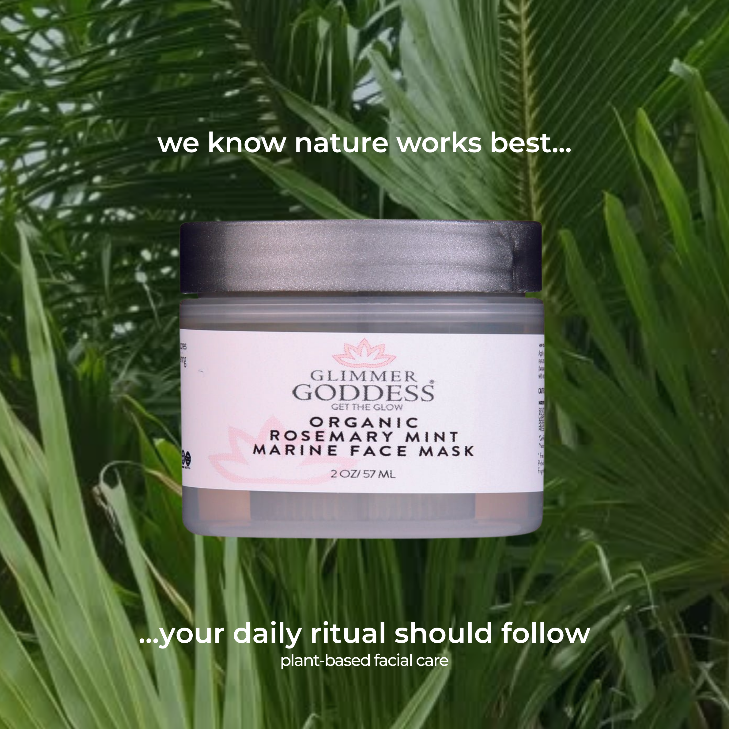 Organic Rosemary Mint Algae Face Mask – Detoxifying Seaweed Mask for Acne, Rosacea & Hydration