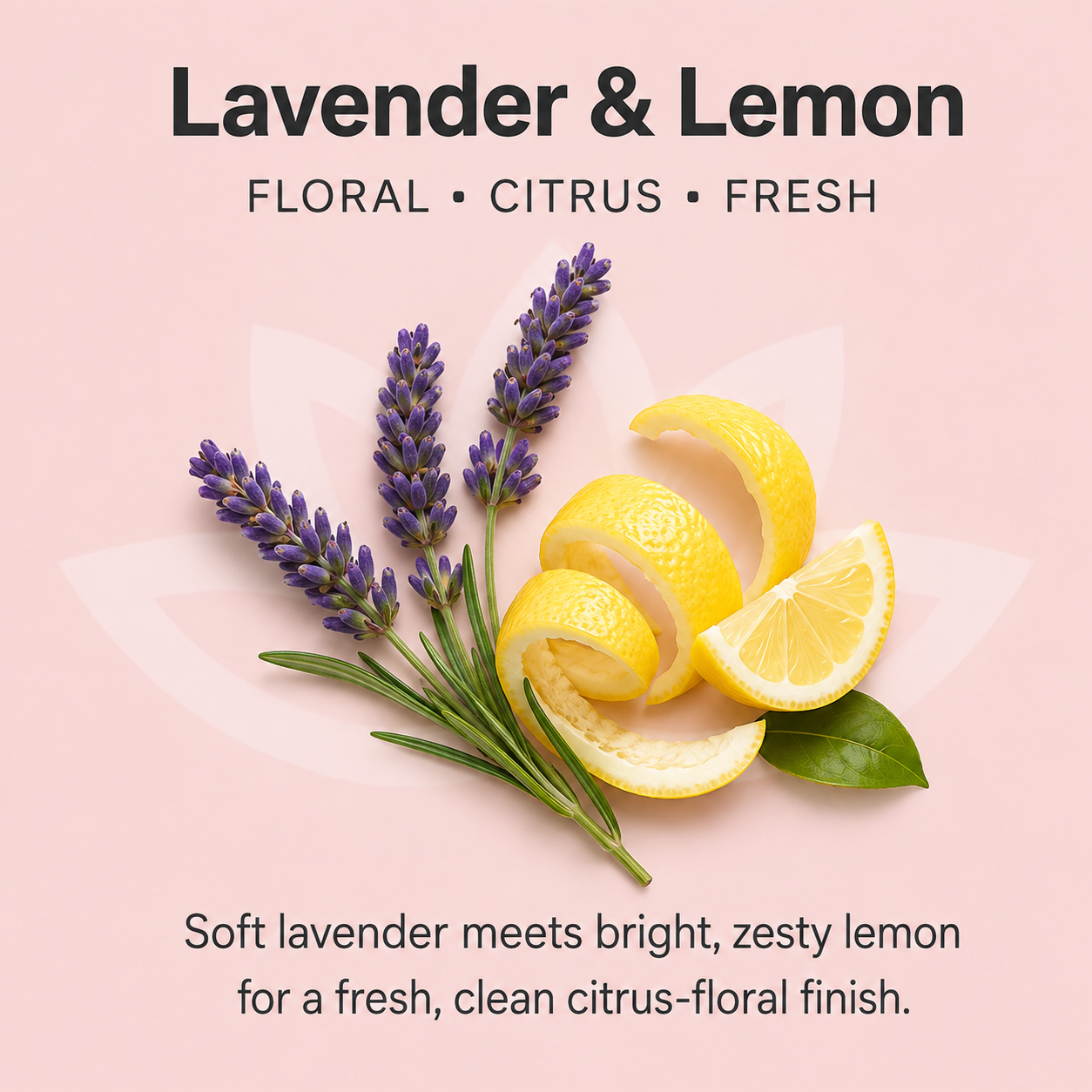 Organic Whipped Body Butter for Extremely Dry Skin 8 oz.