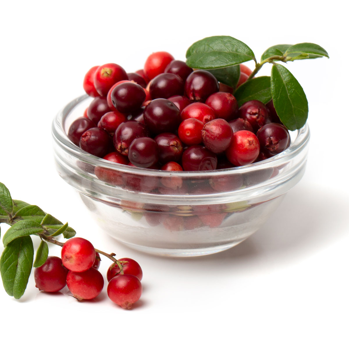 Bearberries for Organic Vitamin C Serum 20% Firm & Glow from Glimmer Goddess