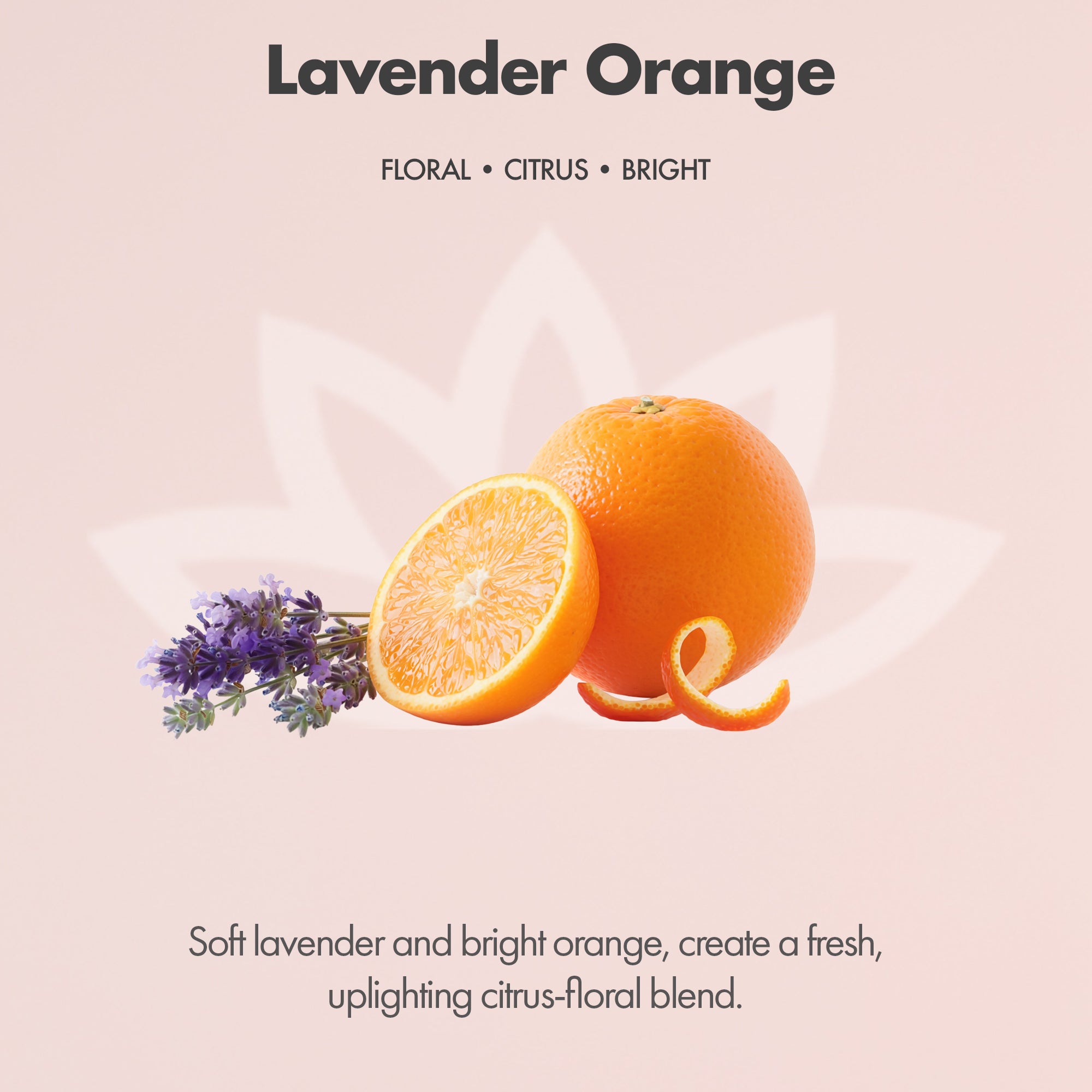 Organic Whipped Body Butter for Extremely Dry Skin 8 oz.