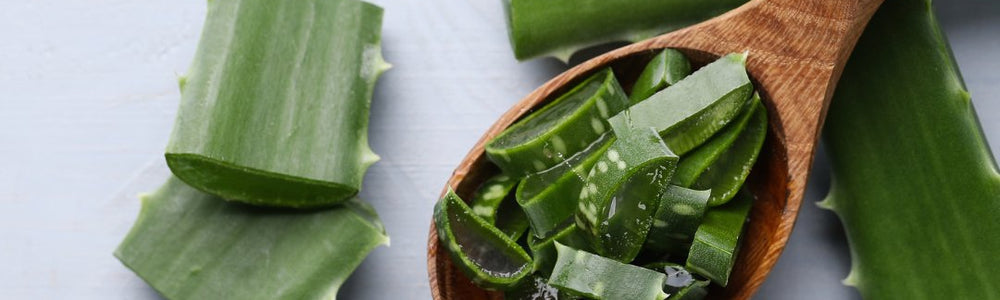Aloe vera and under-eye skincare featured in an evidence-based dark circles guide.