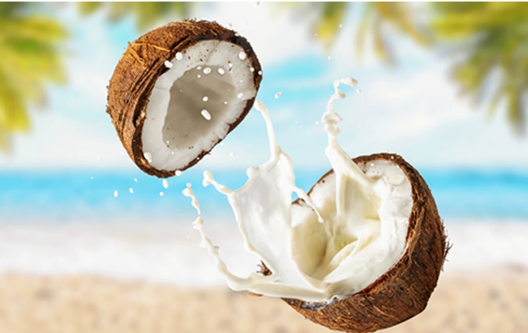 Why Coconut Body Lotion is the Secret to Silky Smooth Skin - Glimmer Goddess® Organic Skin Care