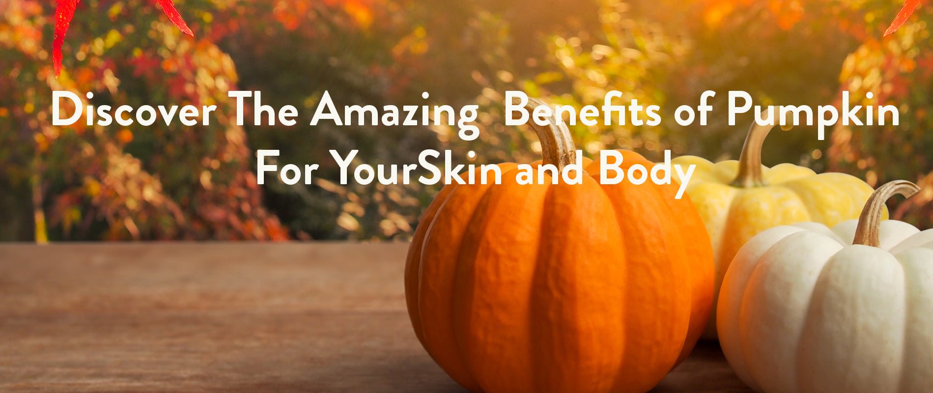 Everything Pumpkin - Glimmer Goddess® Organic Skin Care