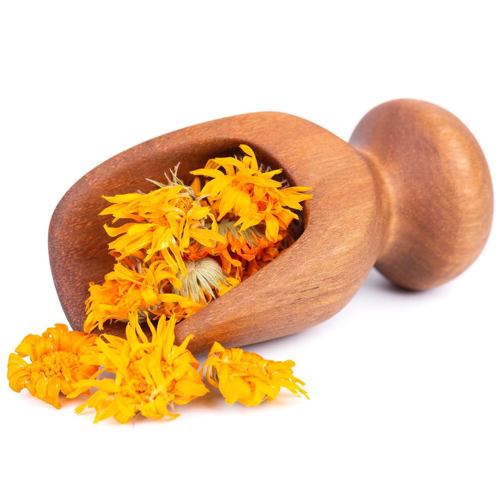 Dried calendula flowers in a wooden scoop on white background for natural skincare ingredients