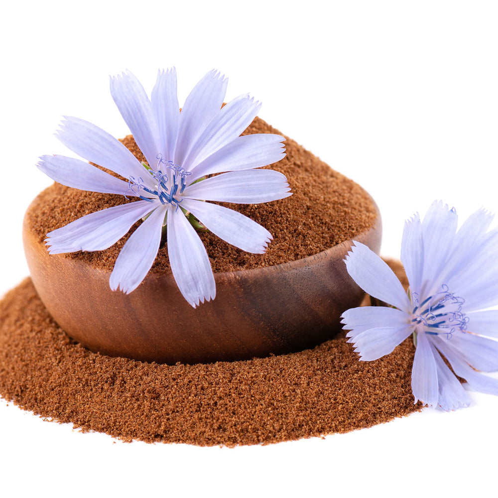 Chicory root powder in a wooden bowl with chicory flowers on white background