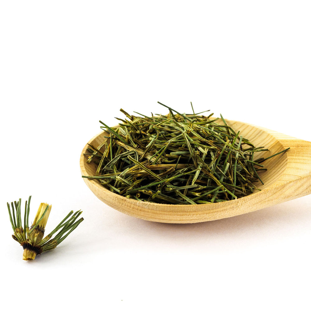 Dried horsetail herb on a wooden spoon for organic skincare ingredients