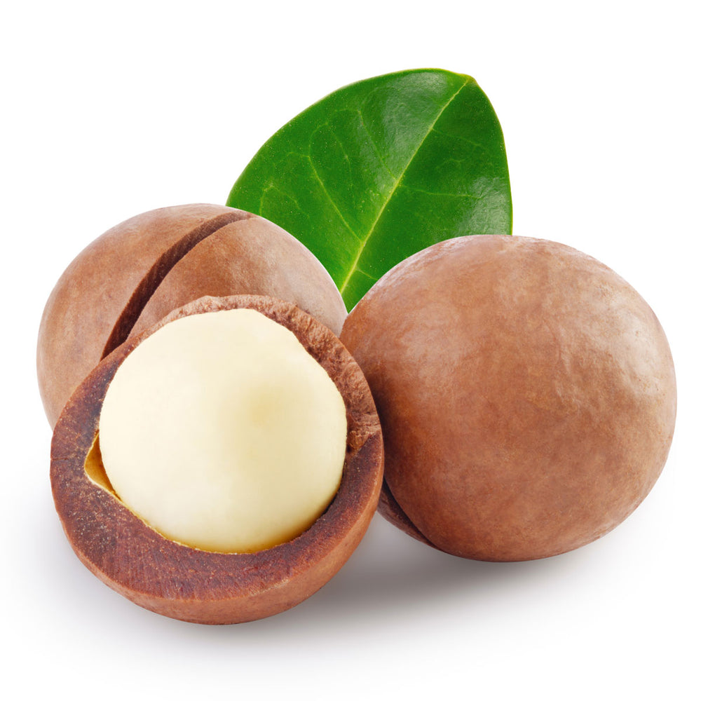 Whole and cracked macadamia nuts with green leaf, key skin care ingredient