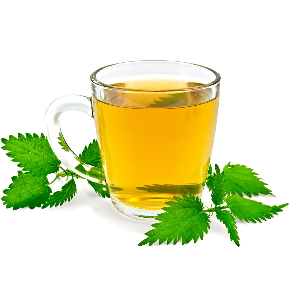 Glass cup of nettle tea with fresh nettle leaves, herbal skincare ingredient