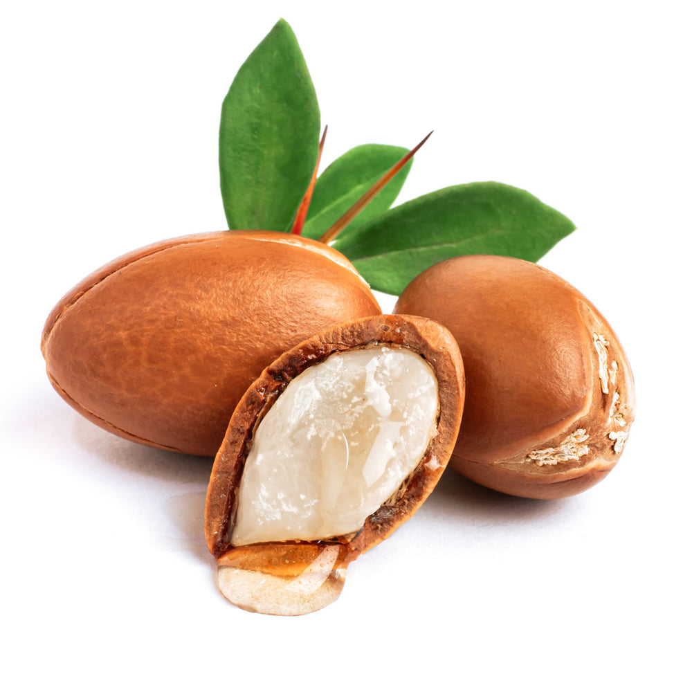 Argan nuts with green leaves on white background, key ingredient in organic skin care