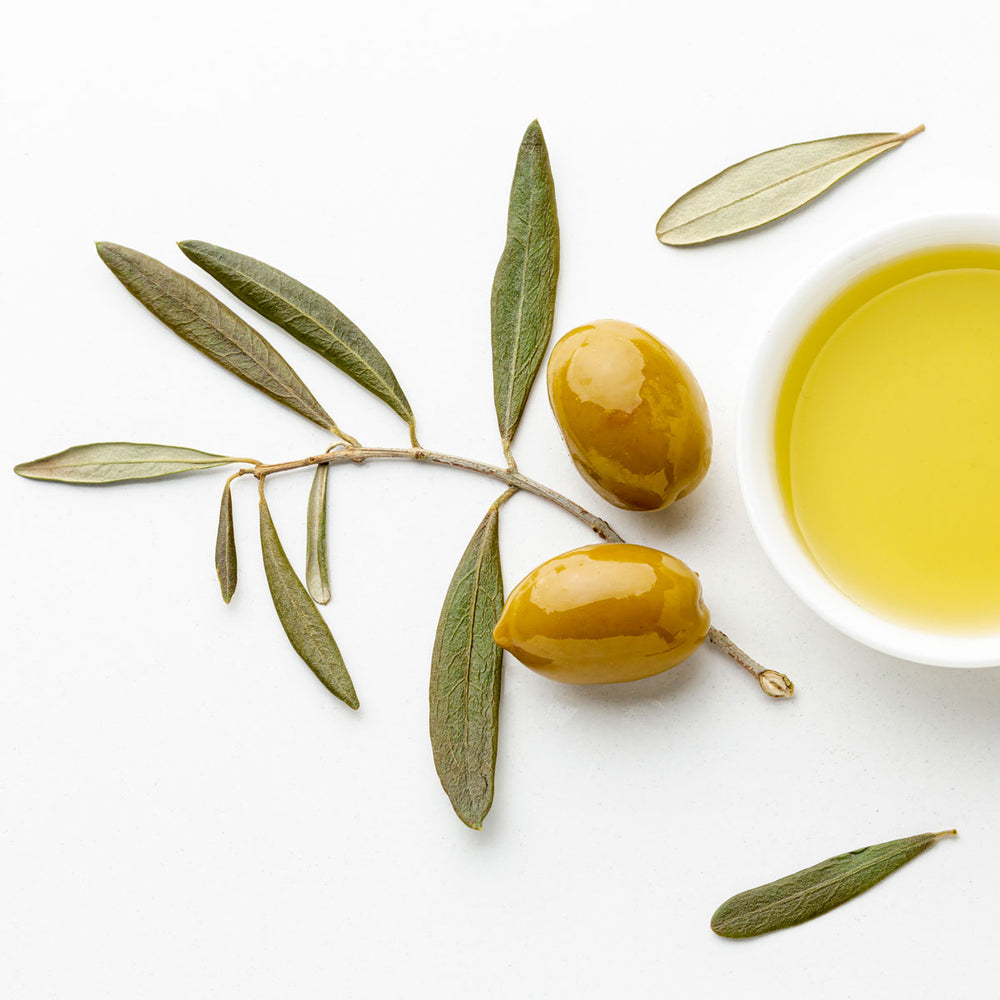 Squalane ingredient concept with olive branch, olives, and bowl of oil on white background