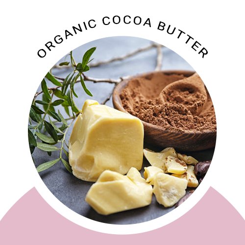 Organic cocoa butter in Organic Whipped Body Butter