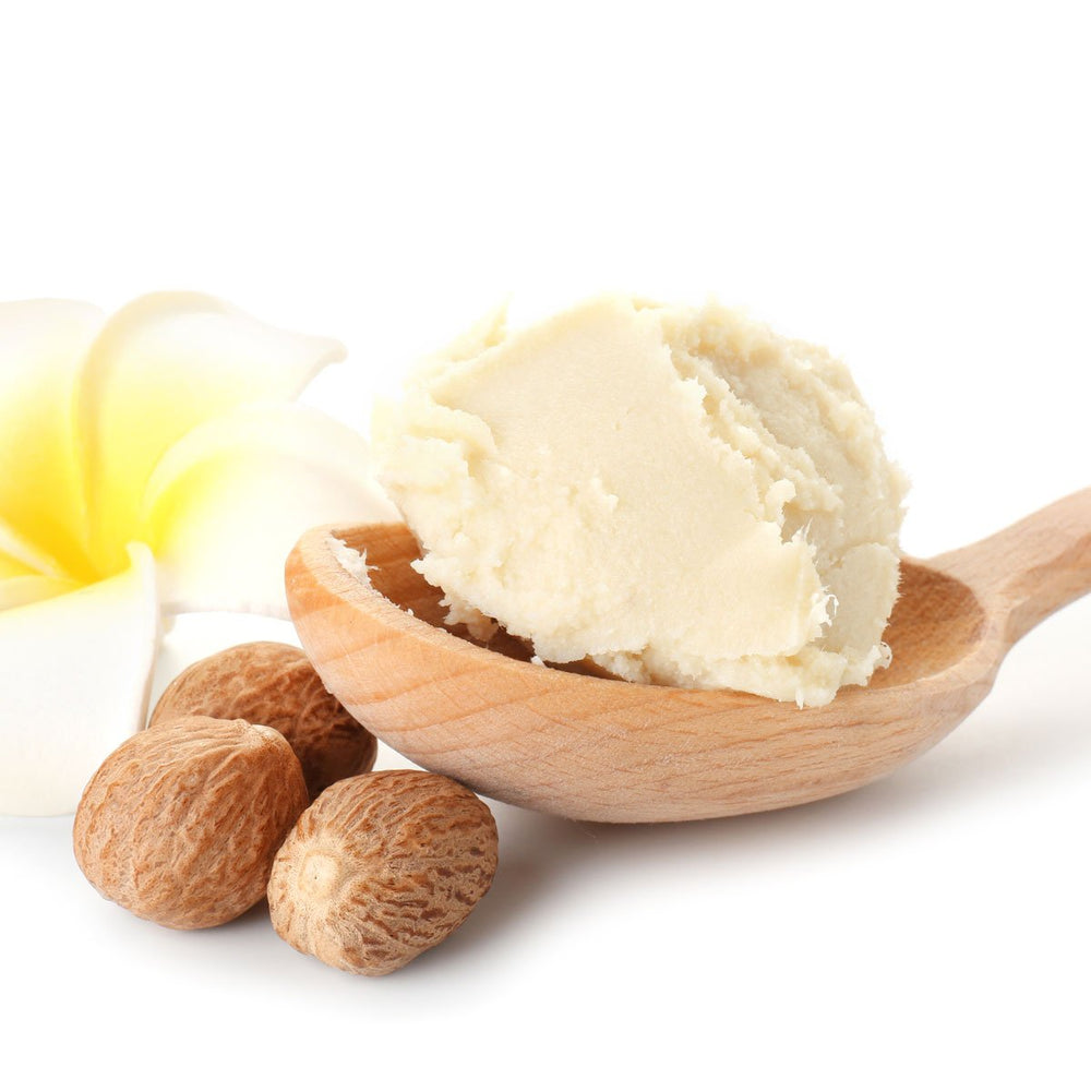 Organic whipped shea butter in wooden spoon with nuts and a frangipani flower on white background